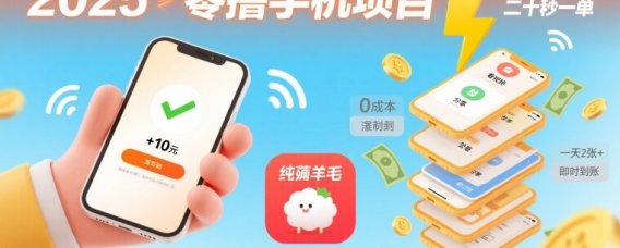 2025年零撸手机项目,二十秒一单,纯薅羊毛 一天2张+做就有