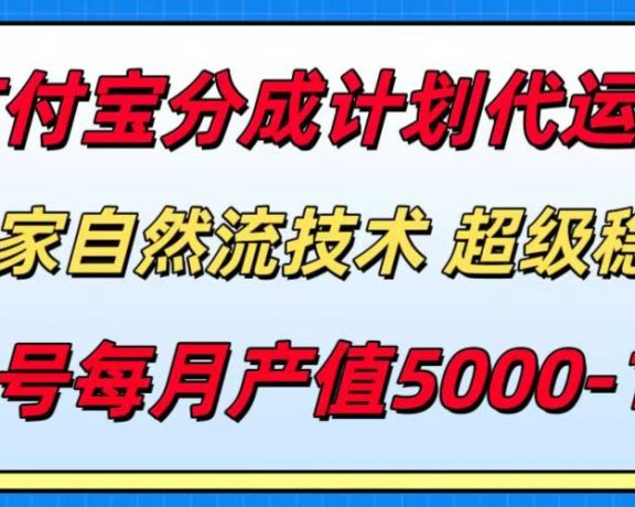 支付宝分成计划代运营,独家自然流技术,收益稳定,单号月产5000+